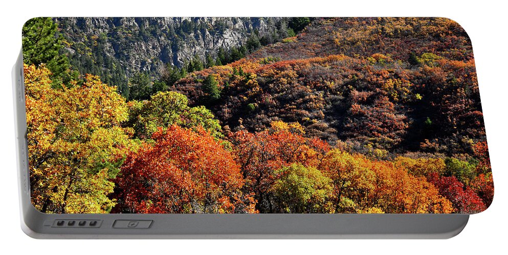 Colorado Portable Battery Charger featuring the photograph Fall Colored Oaks in Avalanche Creek Canyon by Ray Mathis