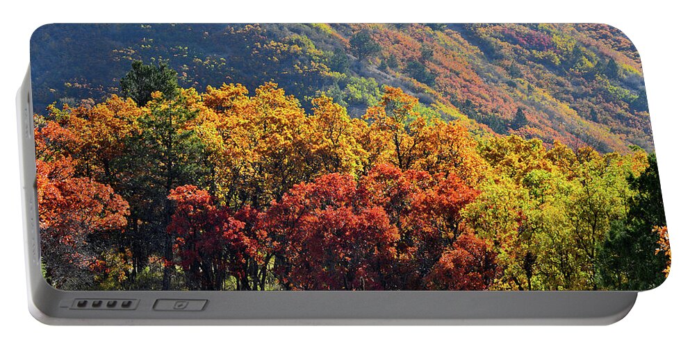 Colorado Portable Battery Charger featuring the photograph Fall Colors along Avalanche Creek Road by Ray Mathis