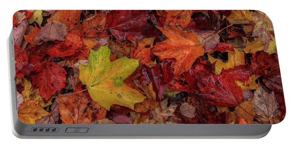 Autumn Portable Battery Charger featuring the photograph Fall Colors by Rob Davies