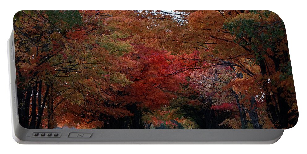 Back Road Portable Battery Charger featuring the photograph Fall Colors White Fence by David T Wilkinson