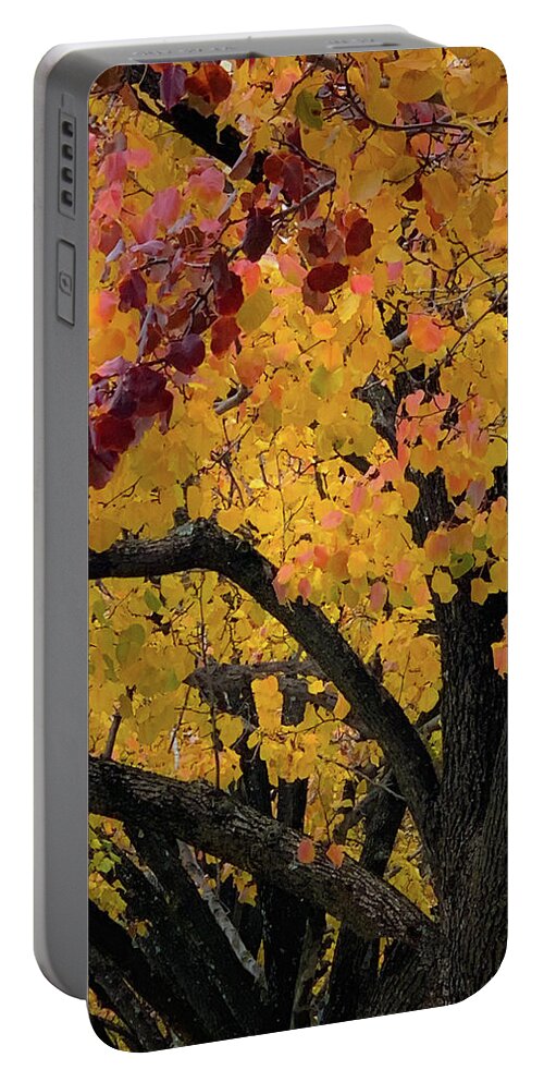 Fall Colors Portable Battery Charger featuring the photograph Fall in Carlyle by Lora J Wilson
