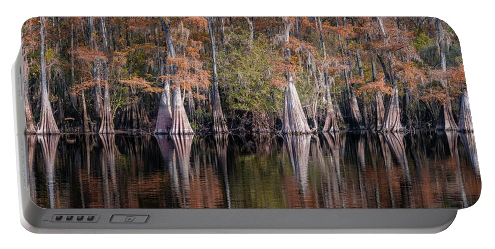 Abstract Portable Battery Charger featuring the photograph Fall in Cypress Lake - Panorama by Alex Mironyuk