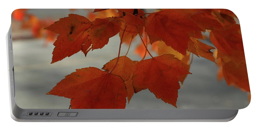 Fall Portable Battery Charger featuring the photograph Fall in the Pacific Northwest by Leslie Struxness