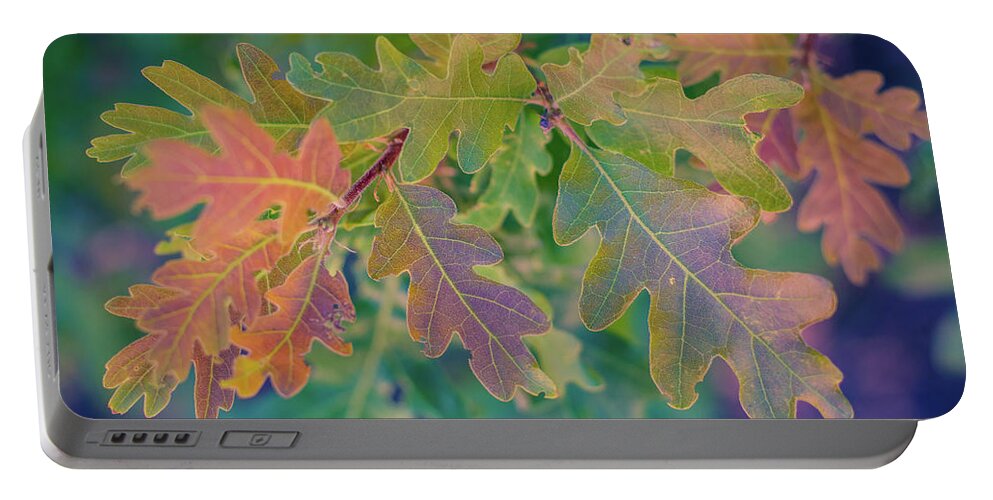 Leaves Portable Battery Charger featuring the photograph Fall in the Summer by Melisa Elliott