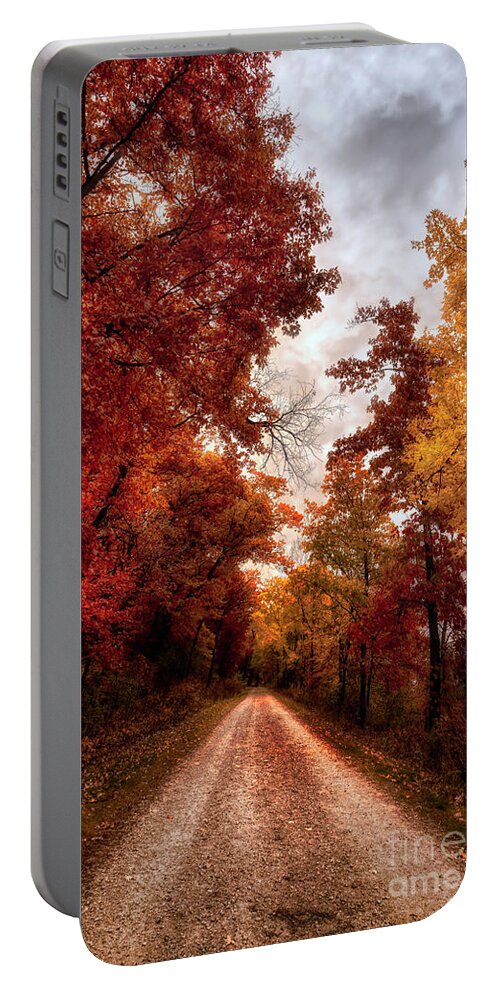 Tree Portable Battery Charger featuring the photograph Fall Lane by Bill Frische