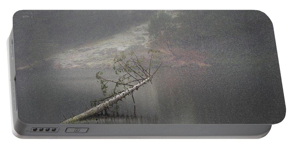 Snow Portable Battery Charger featuring the photograph Fallen Giant by Lynn Wohlers
