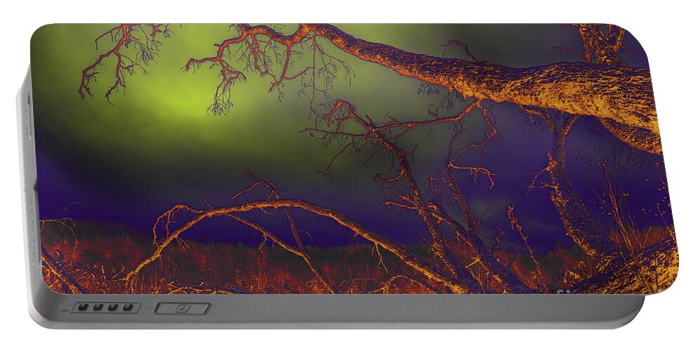 Tree Portable Battery Charger featuring the photograph Fallen Tree by Mike Eingle
