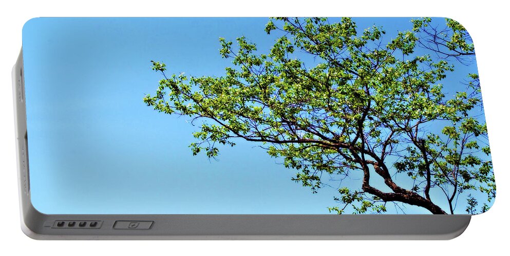 Tree Portable Battery Charger featuring the photograph Far Reaching by Michelle Wermuth