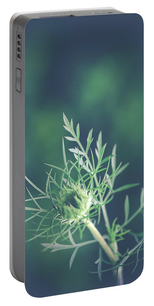 Nature Portable Battery Charger featuring the photograph Fascinate by Michelle Wermuth