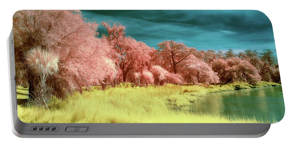 Fort Frederica Portable Battery Charger featuring the photograph Faux color landscape by Izet Kapetanovic