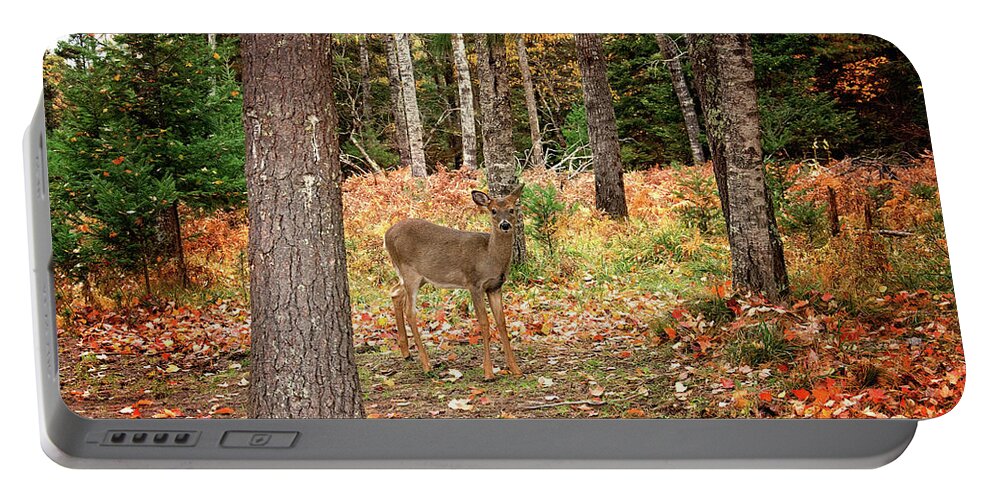 Fawn In The Fall Print Portable Battery Charger featuring the photograph Fawn in the Fall Print by Gwen Gibson