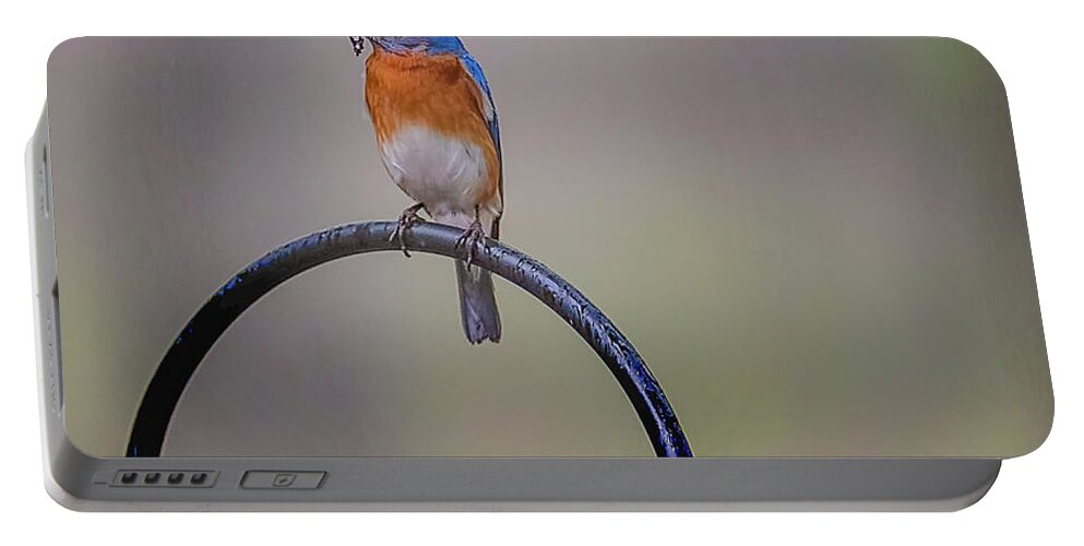 Bird Portable Battery Charger featuring the photograph Feeding Time by Norman Peay