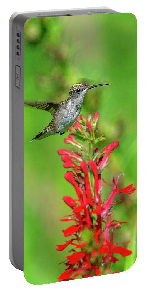 Nature Portable Battery Charger featuring the photograph Female Ruby-throated Hummingbird DSB0316 by Gerry Gantt