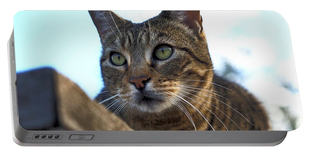 Animal Portable Battery Charger featuring the photograph Fence Feline by Richard Thomas