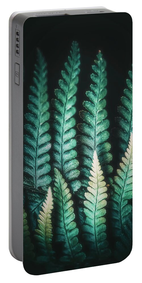 Fern Portable Battery Charger featuring the photograph Fern #14 by Philippe Sainte-Laudy