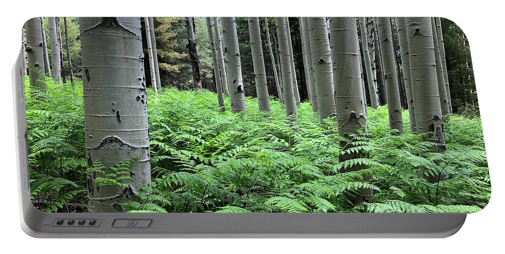 Arizona Portable Battery Charger featuring the photograph Ferns in an Aspen Grove by Jeff Goulden