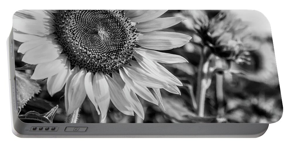 Flower Portable Battery Charger featuring the photograph Field of Flowers by Ray Silva