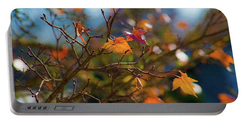 Fall Leaves Portable Battery Charger featuring the photograph Fiery Autumn by Bonnie Bruno