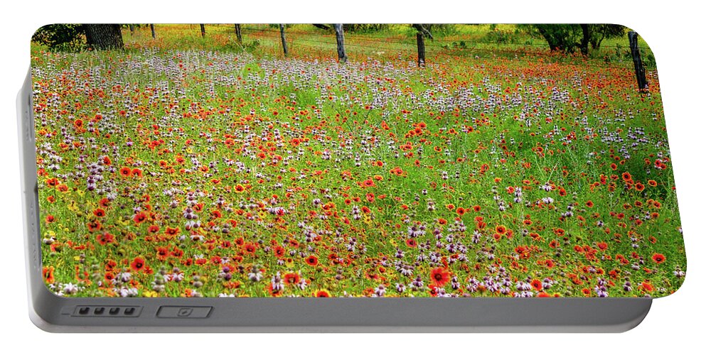 Texas Wildflowers Portable Battery Charger featuring the photograph Fire Wheel Bliss by Johnny Boyd