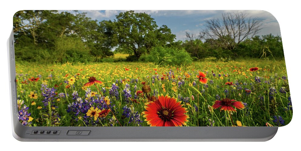 Texas Wildflowers Portable Battery Charger featuring the photograph Fire Wheel by Johnny Boyd