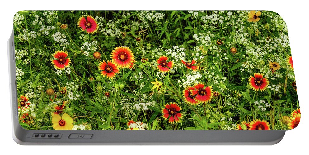 Texas Wildflowers Portable Battery Charger featuring the photograph Fire Wheels and Bishop's Weed by Johnny Boyd