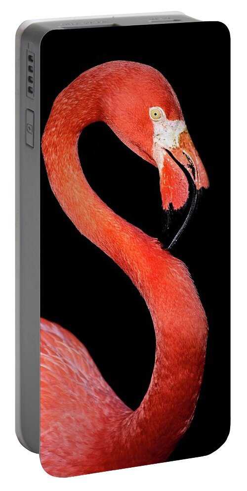 Flamingo Portable Battery Charger featuring the photograph Flamingo Portrait by Steve DaPonte