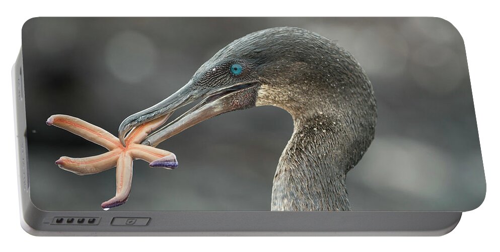 Animal Portable Battery Charger featuring the photograph Flightless Cormorant With Seastar by Tui De Roy