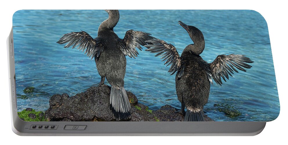 Animal Portable Battery Charger featuring the photograph Flightless Cormorants Drying Wings by Tui De Roy