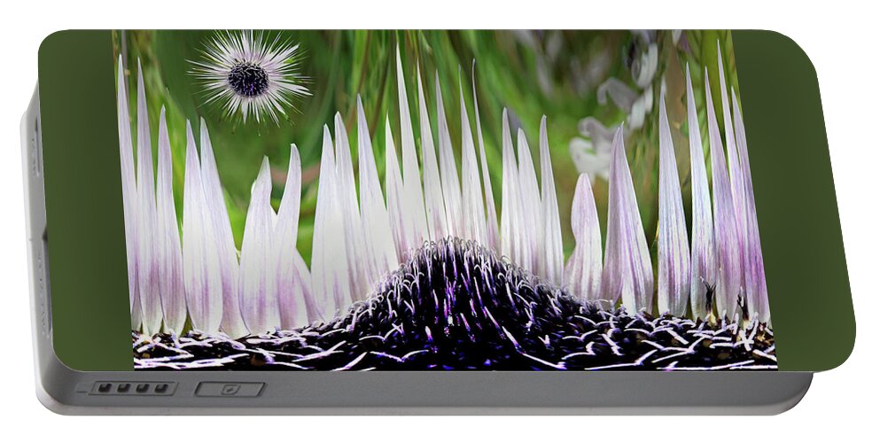 Berkheya Purpurea Portable Battery Charger featuring the photograph Floral Dream by Terence Davis