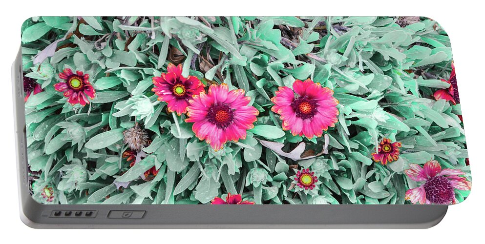 Color Portable Battery Charger featuring the photograph Flowers by Chuck Brown