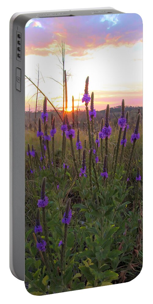 Black Hills Portable Battery Charger featuring the photograph Flowers in the Black Hills by Cathy Anderson