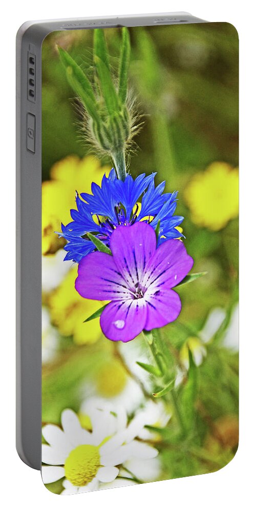 Flowers Cornflower Meadow Wildfowers Portable Battery Charger featuring the photograph Flowers In The Meadow. by Lachlan Main
