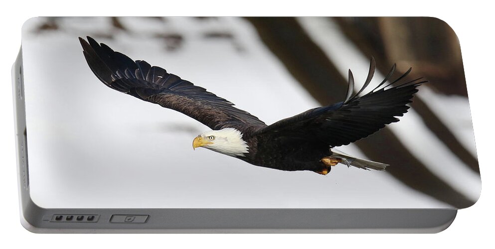 Bald Eagle Portable Battery Charger featuring the photograph Fly By Eagle by Brook Burling