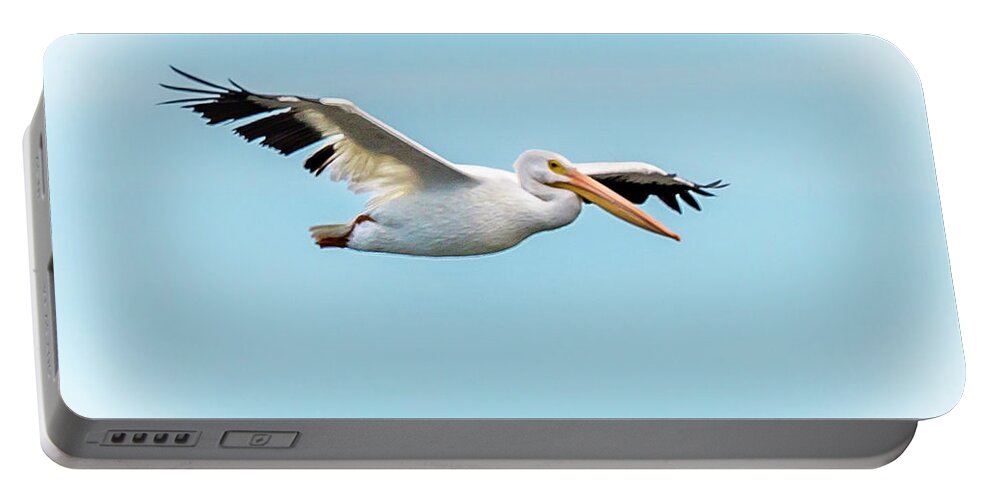 Pelican Portable Battery Charger featuring the photograph Flying White Pelican by David Wagenblatt
