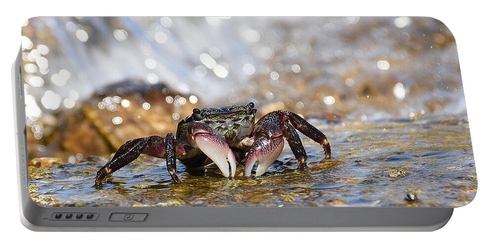 Crab Portable Battery Charger featuring the photograph Foam by Fraida Gutovich