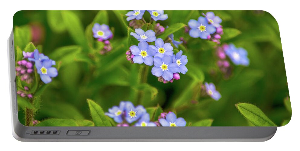 Flowers Portable Battery Charger featuring the photograph Forget Me Nots by Christina Rollo