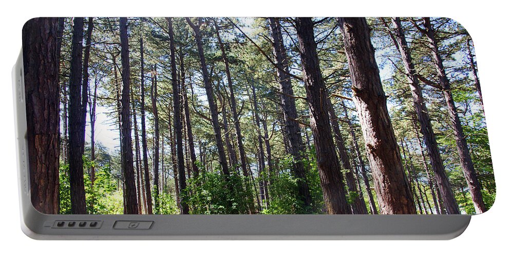 Formby Portable Battery Charger featuring the photograph  FORMBY. Woodland By The Coast by Lachlan Main