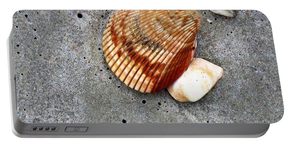 Shell Portable Battery Charger featuring the photograph Found Treasures by Anita Adams