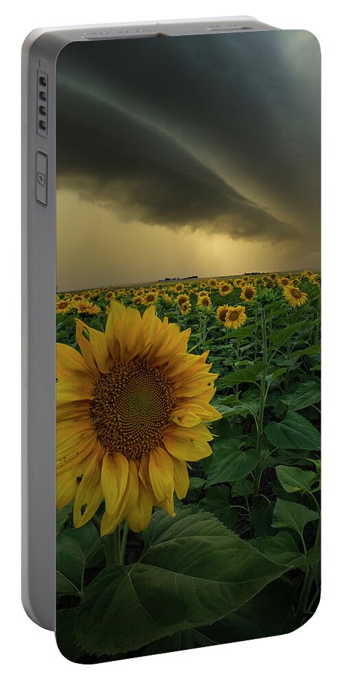 Blooming Portable Battery Charger featuring the photograph Frailty by Aaron J Groen