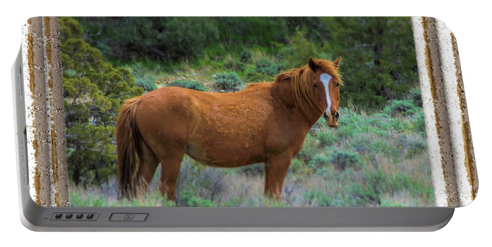 Wild Mustang Portable Battery Charger featuring the photograph Framed Mustang by Steph Gabler