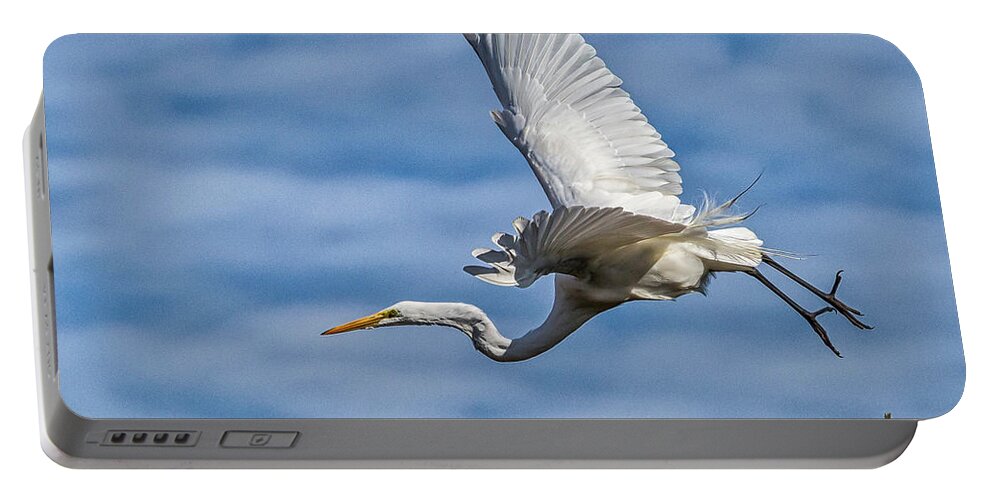 Skidaway Island Portable Battery Charger featuring the photograph Freestyle by Ray Silva