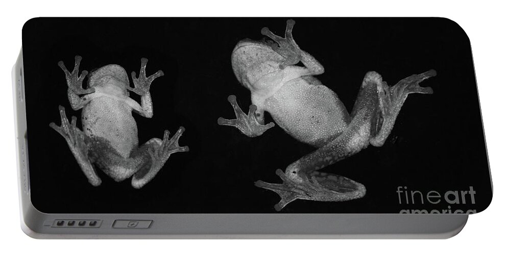 Frogs Portable Battery Charger featuring the photograph Frogs B-W by Aicy Karbstein