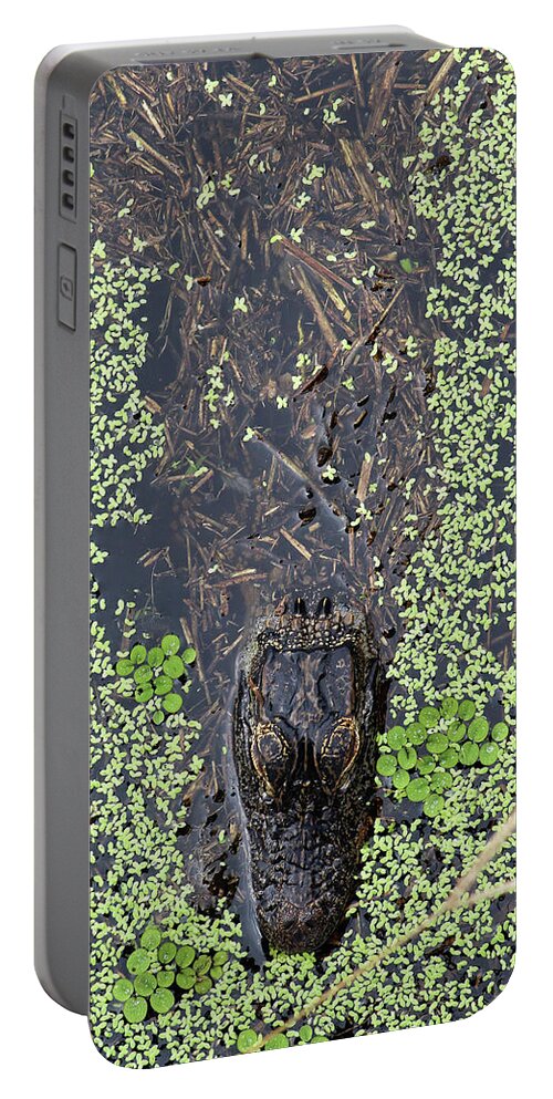 Alligator Portable Battery Charger featuring the photograph From the Sticks by Michael Allard