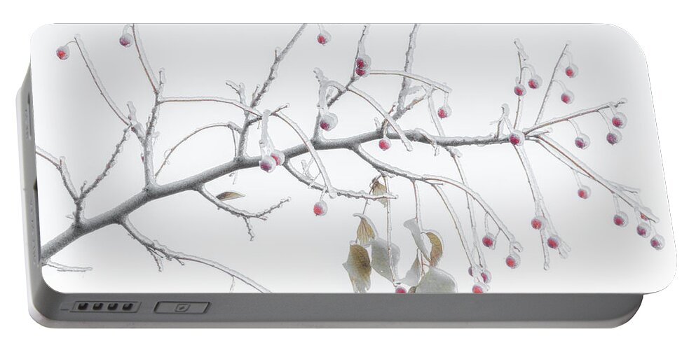 Winter Portable Battery Charger featuring the photograph Frosted Berries by Darren White