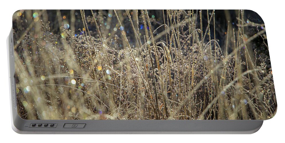 Frost Portable Battery Charger featuring the photograph Frosty Meadow Grass 1 by Randy Robbins