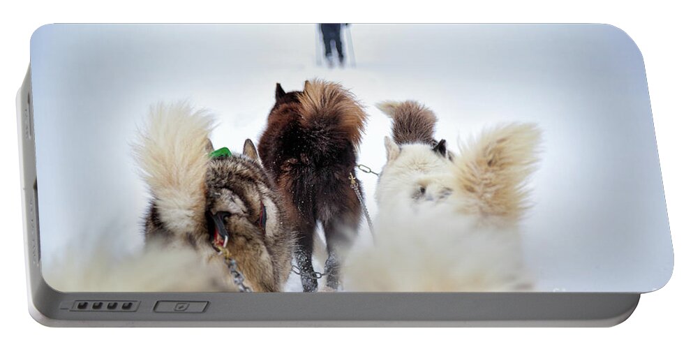 Dog Portable Battery Charger featuring the photograph Fuzzy Tails Across the Snow by Becqi Sherman
