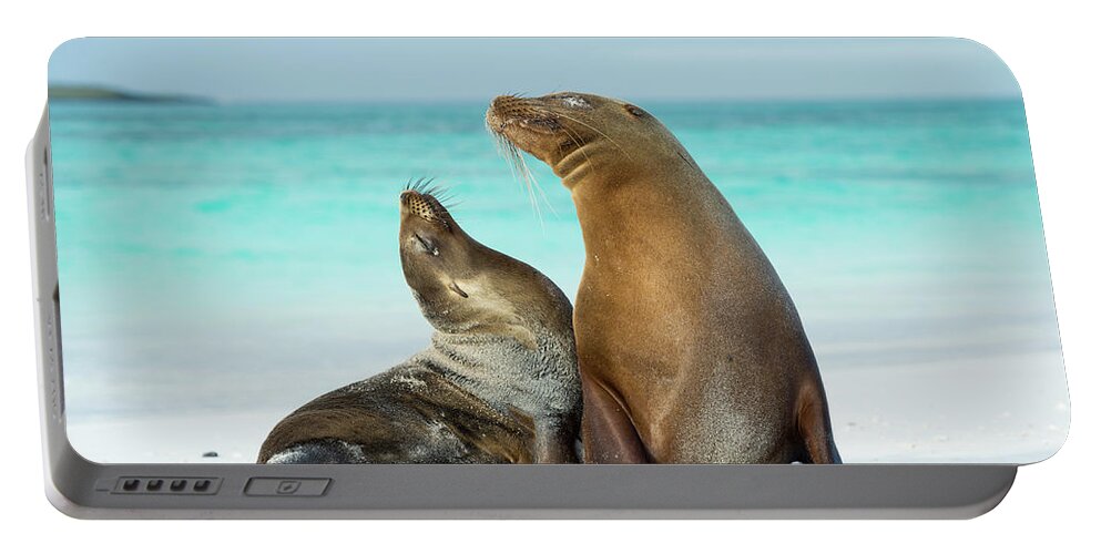 Animal Portable Battery Charger featuring the photograph Galagagos Sea Lion Pair On Beach by Tui De Roy