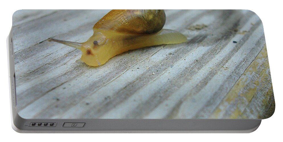 Garden Snail Portable Battery Charger featuring the photograph Garden Snail 2 by Amy E Fraser