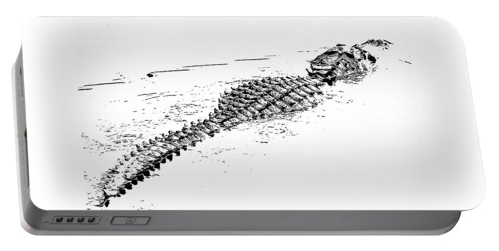Alligator Portable Battery Charger featuring the photograph Gator Crossing by Michael Allard
