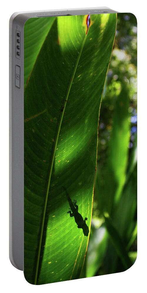 Hawaii Portable Battery Charger featuring the photograph Gecko Silouette by Anthony Jones